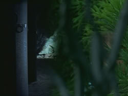 extant_HTLJ_3x19-TheEndOfTheBeginning_02213