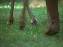 extant_HTLJ_3x19-TheEndOfTheBeginning_02415