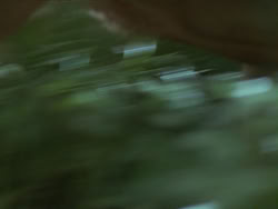 extant_HTLJ_3x19-TheEndOfTheBeginning_02520