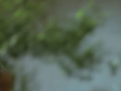 extant_HTLJ_3x19-TheEndOfTheBeginning_02710