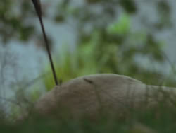 extant_HTLJ_3x19-TheEndOfTheBeginning_02716