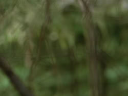 extant_HTLJ_3x19-TheEndOfTheBeginning_02948