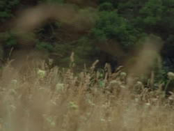 extant_HTLJ_3x19-TheEndOfTheBeginning_04237