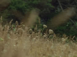 extant_HTLJ_3x19-TheEndOfTheBeginning_04239