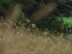 extant_HTLJ_3x19-TheEndOfTheBeginning_04240