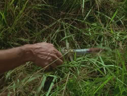 extant_HTLJ_3x19-TheEndOfTheBeginning_04446