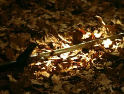 extant_HTLJ_4x05-StrangerInAStrangeWorld_00015