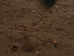 extant_HTLJ_4x05-StrangerInAStrangeWorld_00305