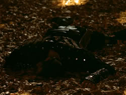 extant_HTLJ_4x05-StrangerInAStrangeWorld_01304