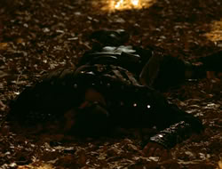 extant_HTLJ_4x05-StrangerInAStrangeWorld_01305