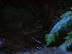 extant_HTLJ_4x06-TwoMenAndABaby_03742