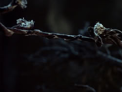 extant_HTLJ_4x06-TwoMenAndABaby_03839