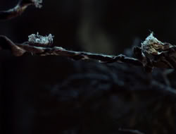 extant_HTLJ_4x06-TwoMenAndABaby_03840