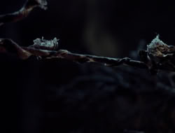 extant_HTLJ_4x06-TwoMenAndABaby_03841
