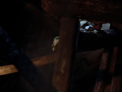 extant_HTLJ_4x10-HerculesOnTrial_00273