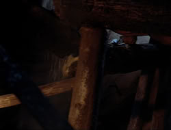 extant_HTLJ_4x10-HerculesOnTrial_00274