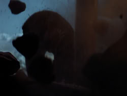 extant_HTLJ_4x10-HerculesOnTrial_00388