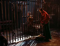 extant_HTLJ_4x10-HerculesOnTrial_02326