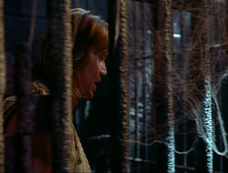extant_HTLJ_4x10-HerculesOnTrial_03077