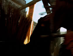 extant_HTLJ_4x10-HerculesOnTrial_04345