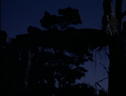 extant_HTLJ_4x13-ArmageddonNowPart1_00019
