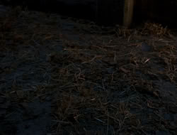 extant_HTLJ_4x13-ArmageddonNowPart1_00135