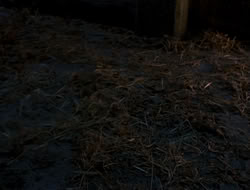 extant_HTLJ_4x13-ArmageddonNowPart1_00136