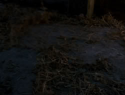 extant_HTLJ_4x13-ArmageddonNowPart1_00138