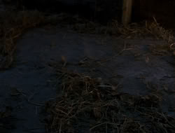 extant_HTLJ_4x13-ArmageddonNowPart1_00139