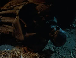 extant_HTLJ_4x13-ArmageddonNowPart1_00181