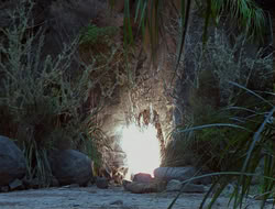 extant_HTLJ_4x13-ArmageddonNowPart1_00327