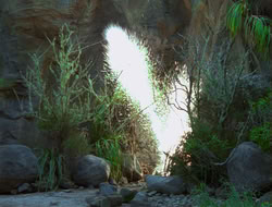 extant_HTLJ_4x13-ArmageddonNowPart1_00328