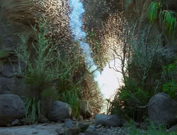extant_HTLJ_4x13-ArmageddonNowPart1_00329