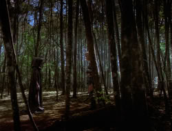 extant_HTLJ_4x13-ArmageddonNowPart1_03649