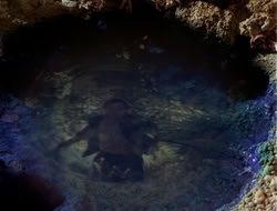 extant_HTLJ_4x13-ArmageddonNowPart1_04259
