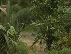 extant_HTLJ_4x13-ArmageddonNowPart1_04372