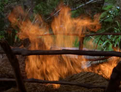 extant_HTLJ_4x14-ArmageddonNowPart2_00203