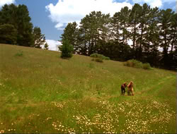 extant_HTLJ_4x14-ArmageddonNowPart2_00215