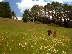 extant_HTLJ_4x14-ArmageddonNowPart2_00219