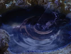 extant_HTLJ_4x14-ArmageddonNowPart2_00307
