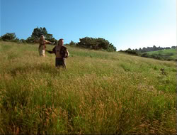 extant_HTLJ_4x14-ArmageddonNowPart2_00522