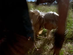 extant_HTLJ_4x14-ArmageddonNowPart2_00554
