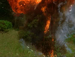 extant_HTLJ_4x14-ArmageddonNowPart2_00580