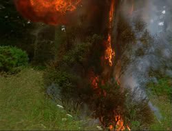 extant_HTLJ_4x14-ArmageddonNowPart2_00581