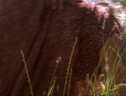 extant_HTLJ_4x14-ArmageddonNowPart2_00595