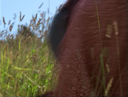 extant_HTLJ_4x14-ArmageddonNowPart2_00596