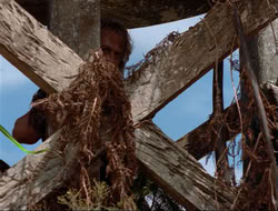 extant_HTLJ_4x14-ArmageddonNowPart2_00778