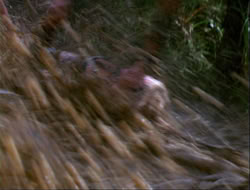 extant_HTLJ_4x14-ArmageddonNowPart2_00833