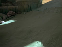 extant_HTLJ_4x14-ArmageddonNowPart2_00924