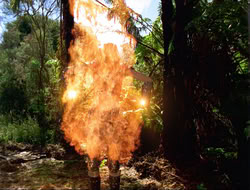 extant_HTLJ_4x14-ArmageddonNowPart2_01055